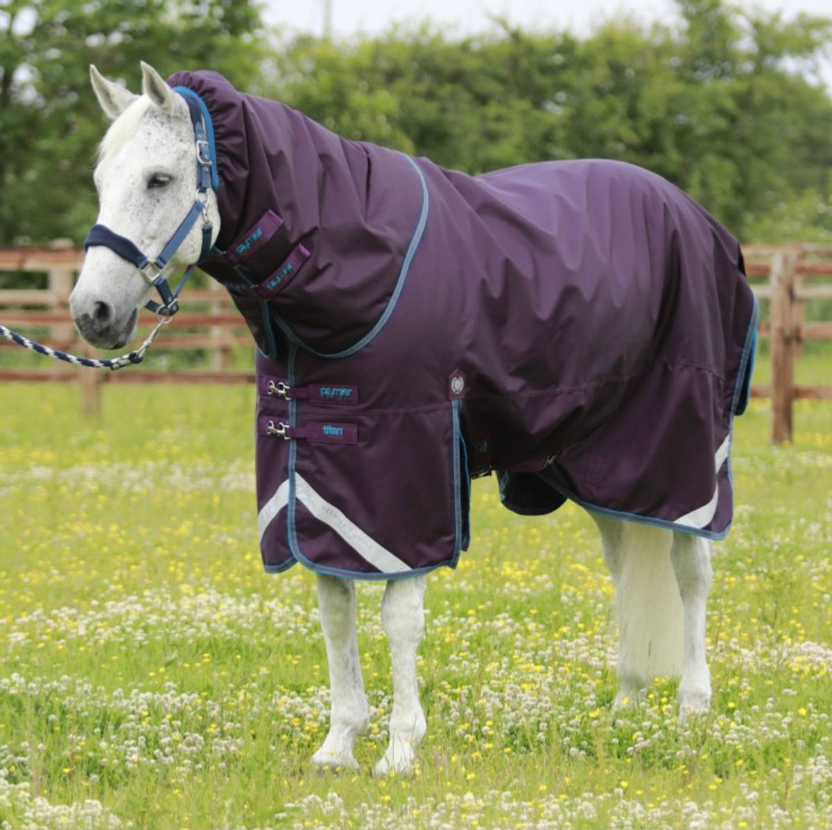 Premier Equine Titan Turnout Purple 200g