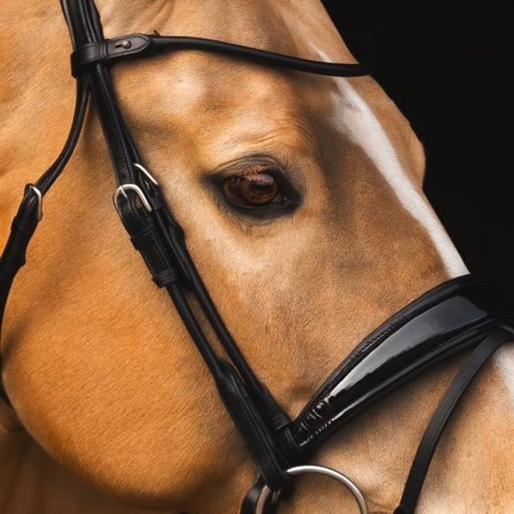 Utzon Copenhagen Bridle Black