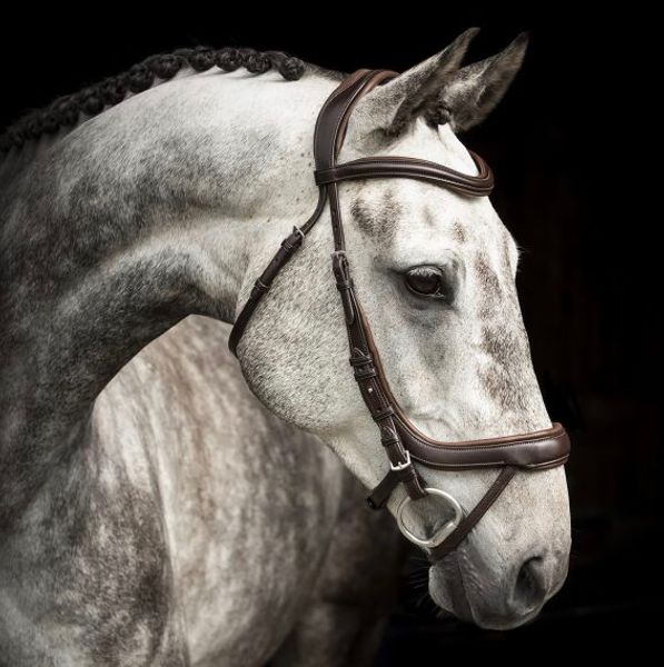 Hovedbilde Lippo Cortina Hodelag Chocolate 