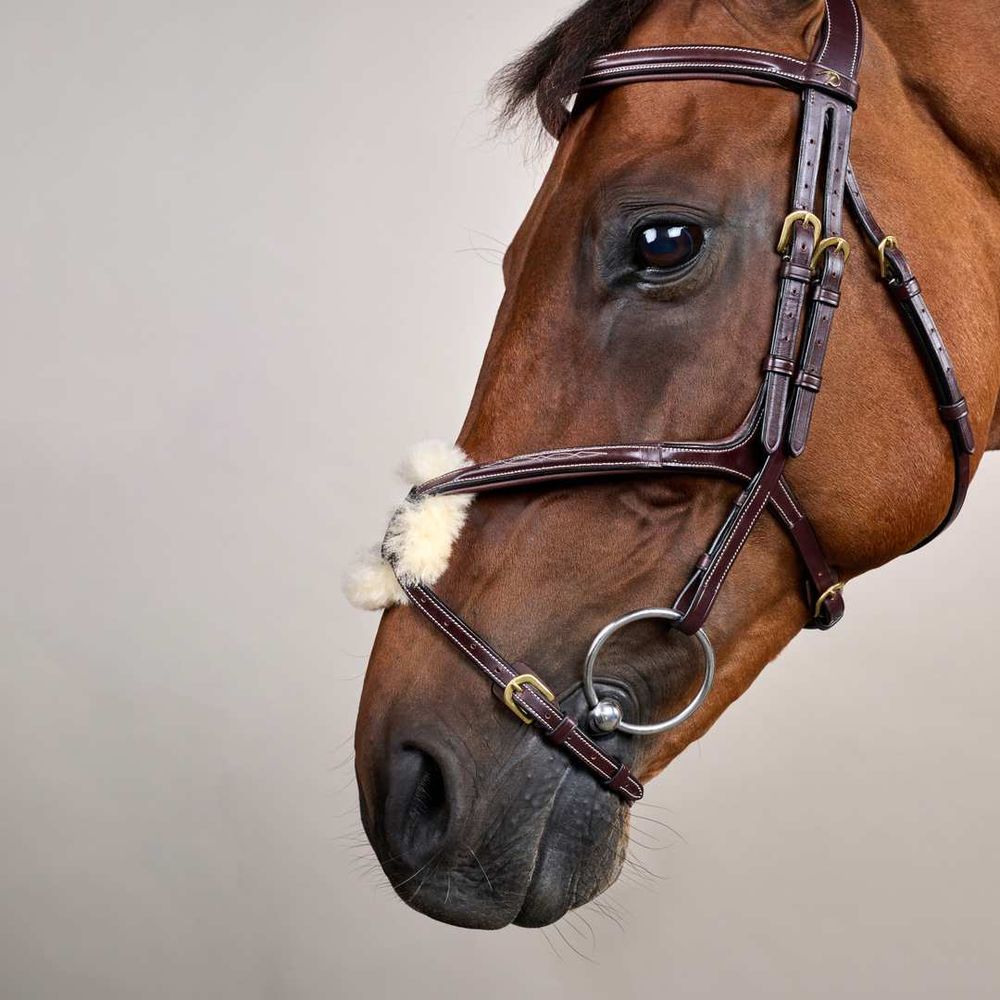 Dy’on  D Collection Fig 8 Noseband Bridle 