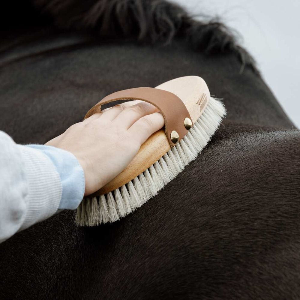 Grooming Deluxe Overall Brush Body Shine
