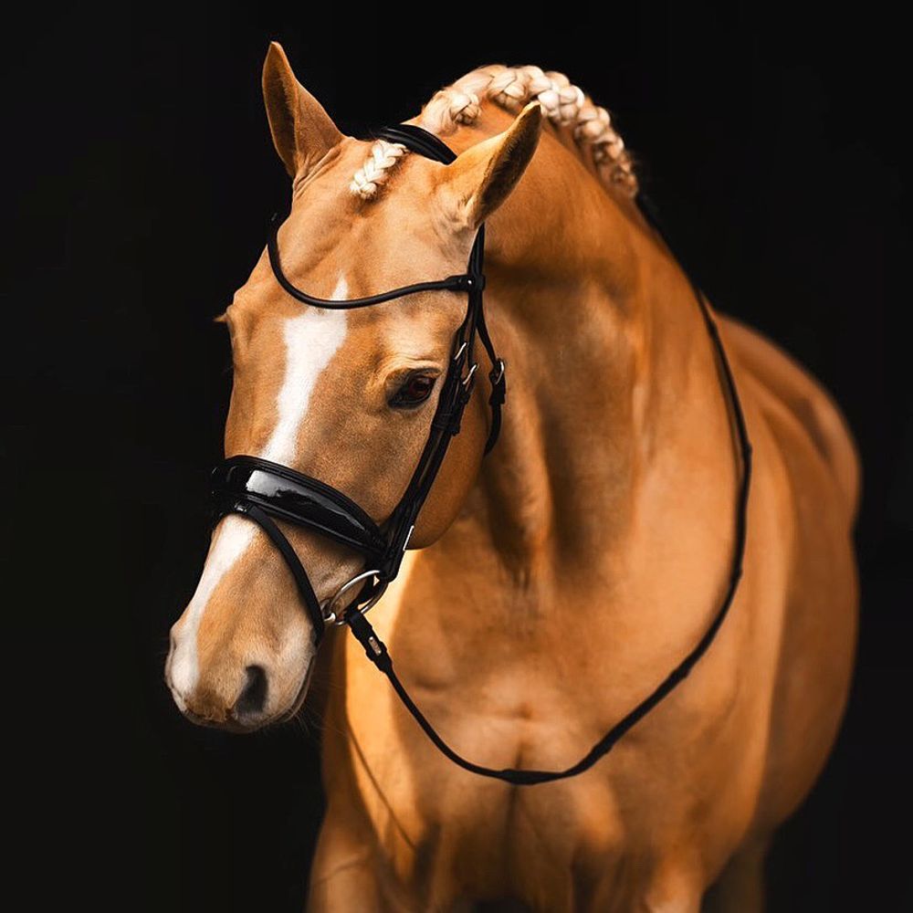 Utzon Copenhagen Bridle Black