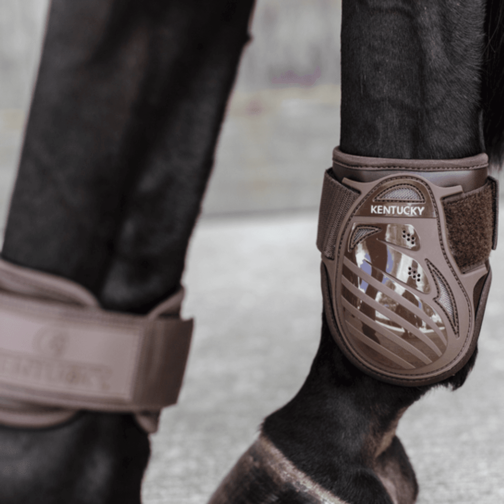 Kentucky Young Horses Fetlock Boots Brown 