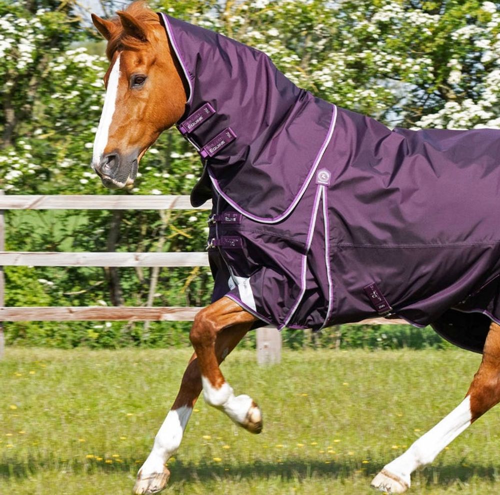 Premier Equine Buster Turnout 70g Purple
