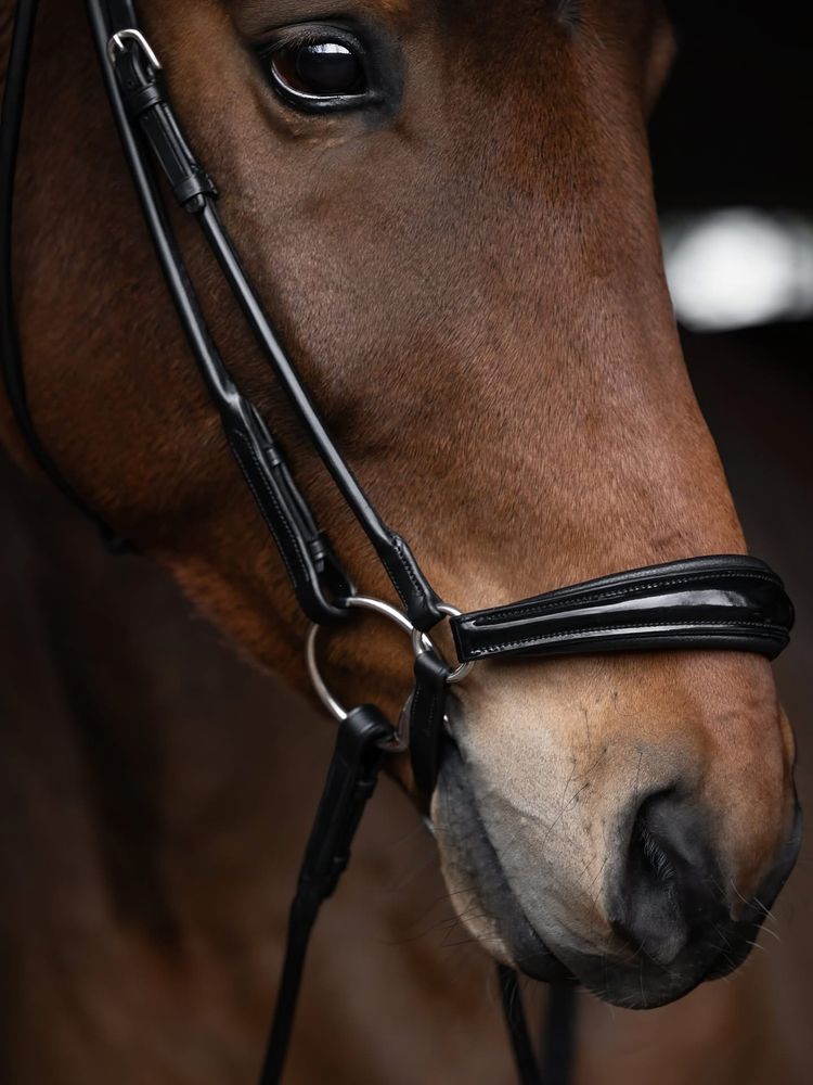 Utzon Edinburgh Hanoverian Bridle  