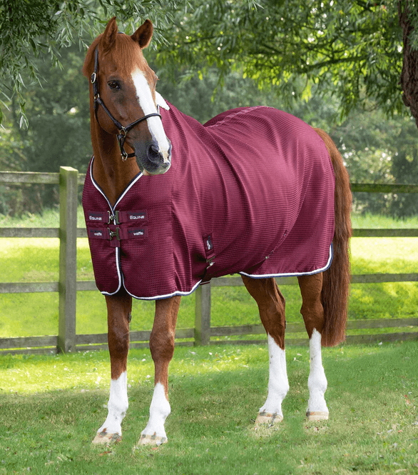 Hovedbilde Premier Equine Buster Waffle Cooler Rug Burgundy