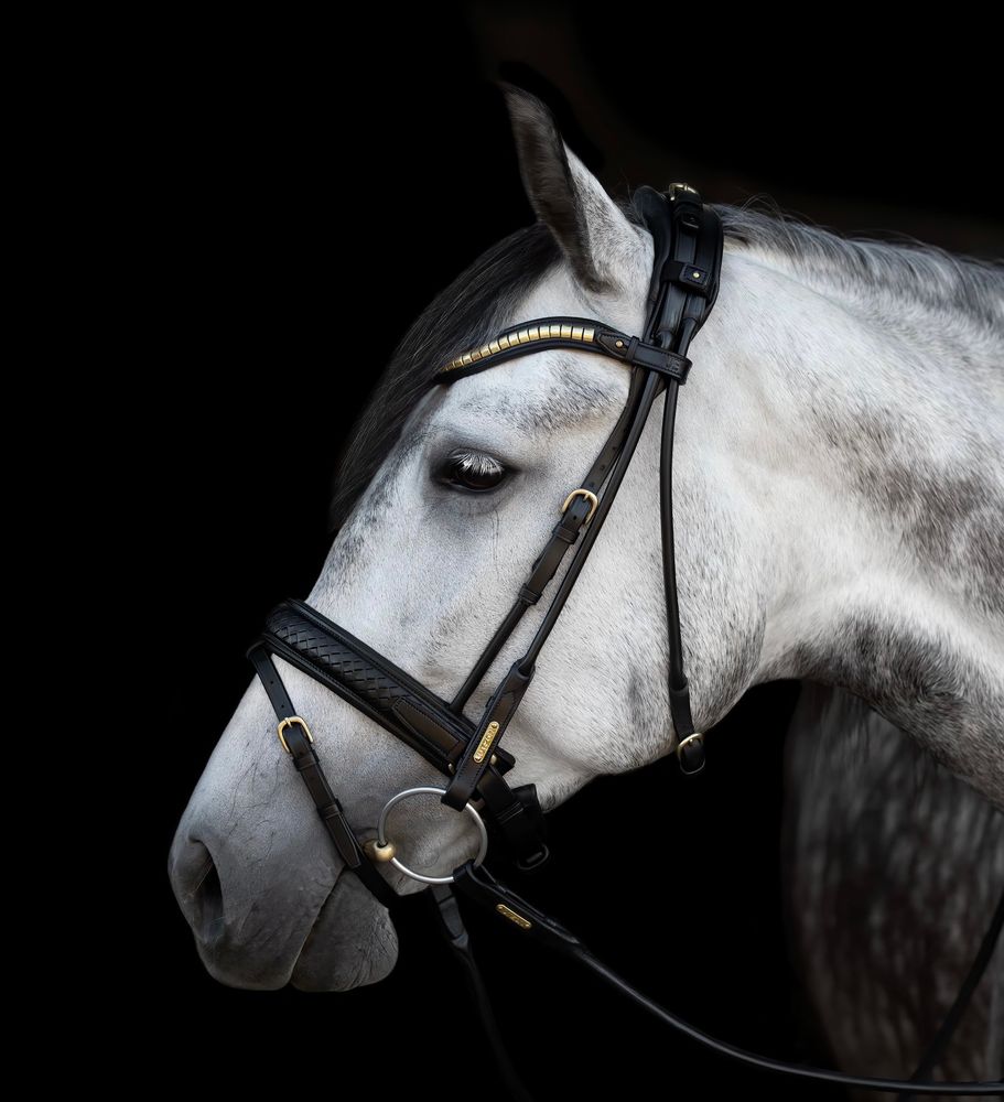 Utzon Olympic Bridle Flere Farger  