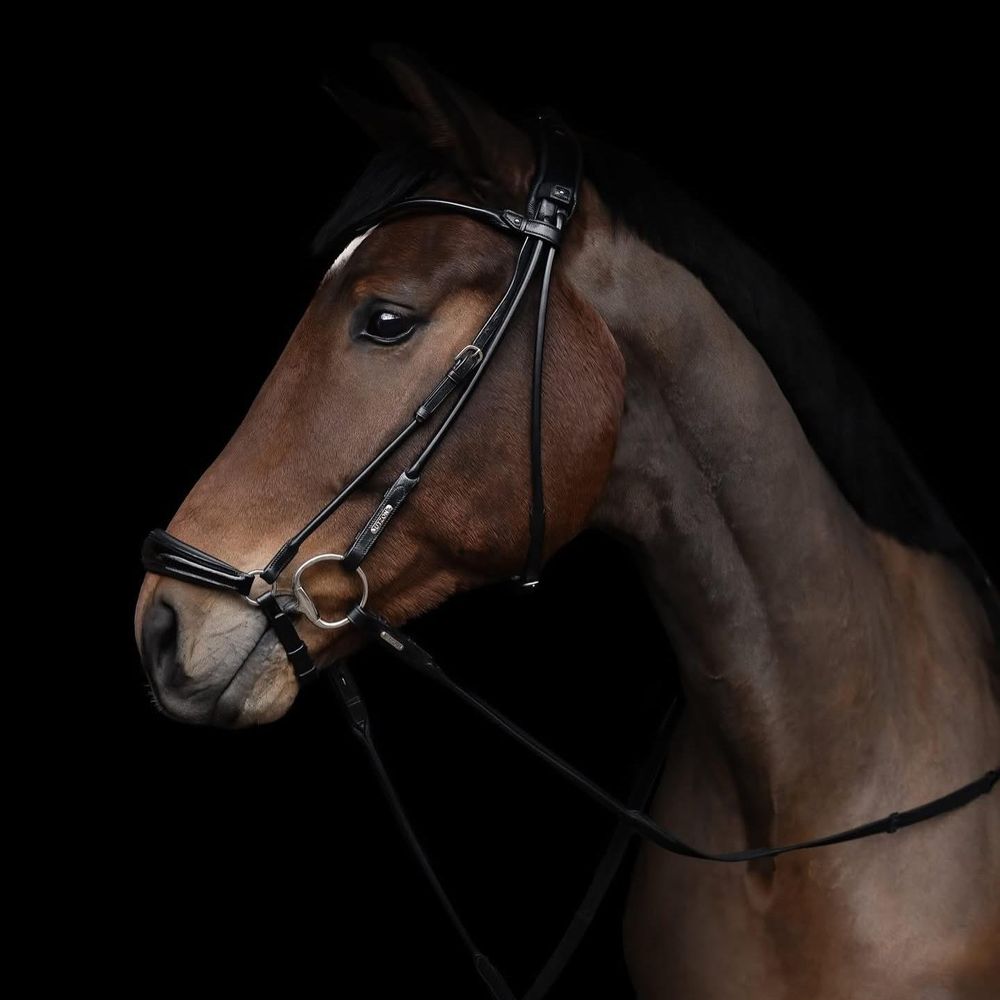 Utzon Edinburgh Hanoverian Bridle  