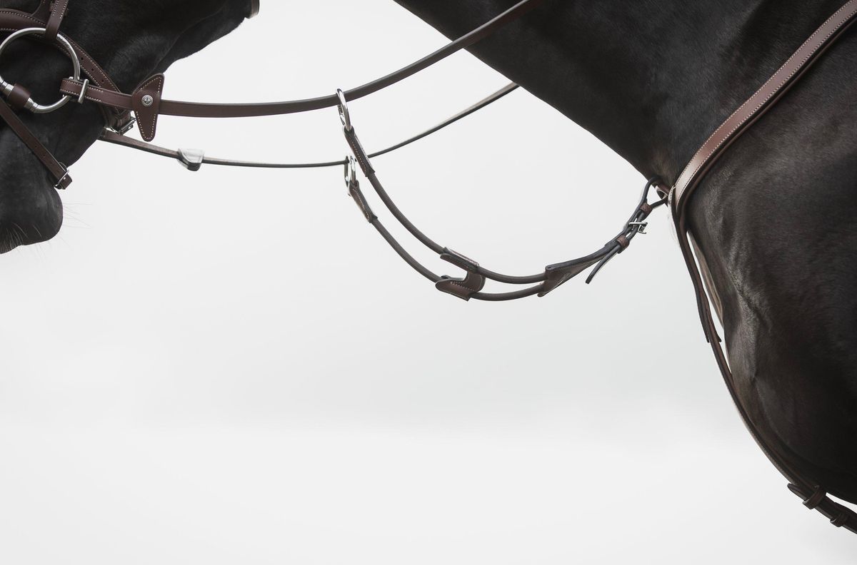 Lippo Eccelente Elastic Running Martingal Cognac